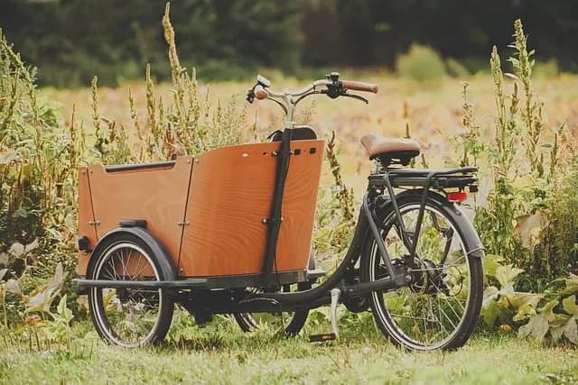 Top 5 des Activités Écologiques à Essayer lors de Vos Voyages