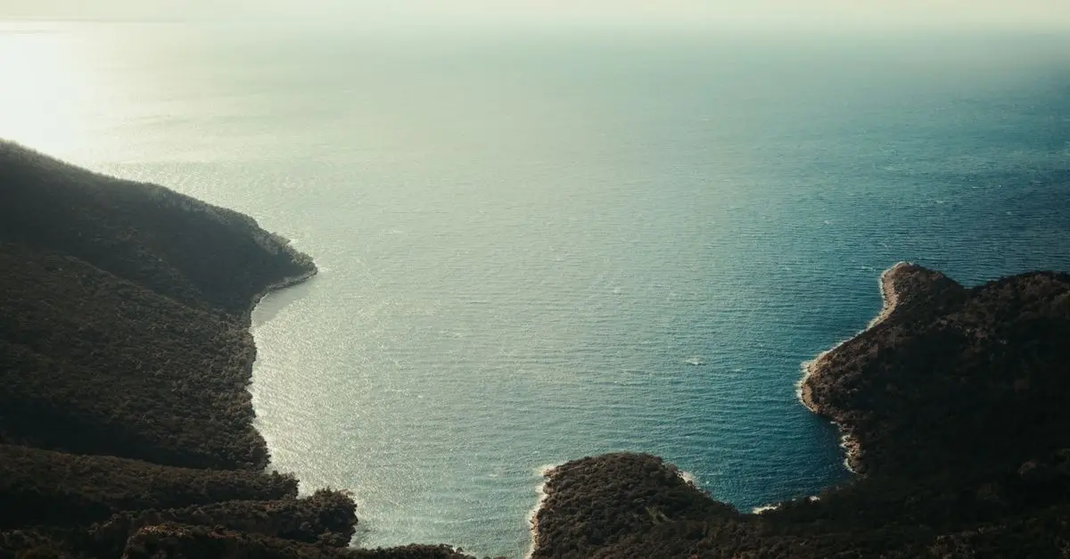 Impact des Voyages sur le Changement Climatique