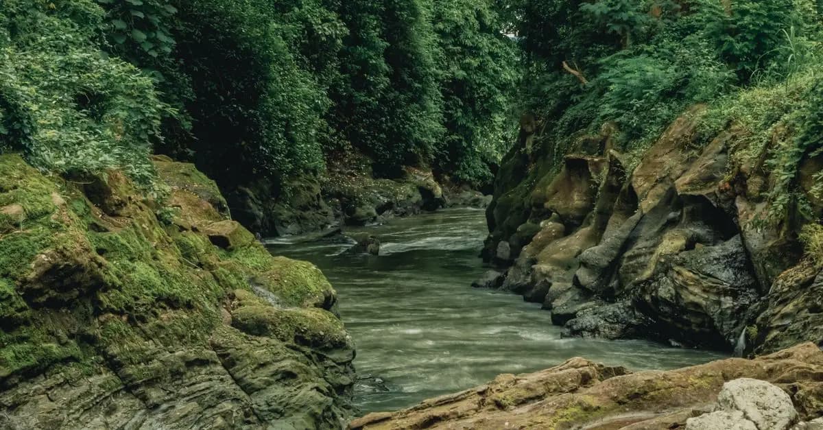 Les Meilleures Pratiques pour Écotourisme Responsable
