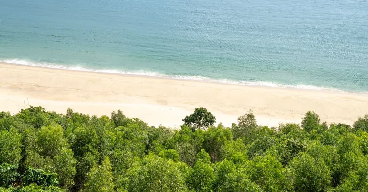 Impact du Tourisme de Masse sur les Sites Naturels