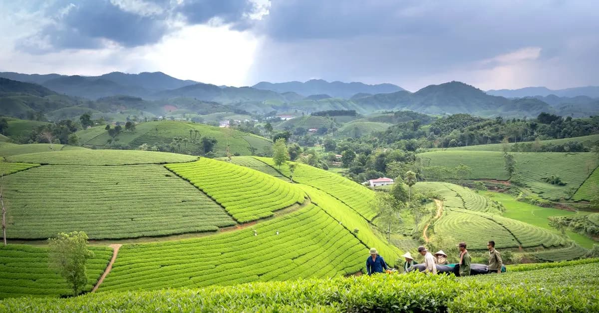 Pourquoi Intégrer la Permaculture dans Vos Voyages