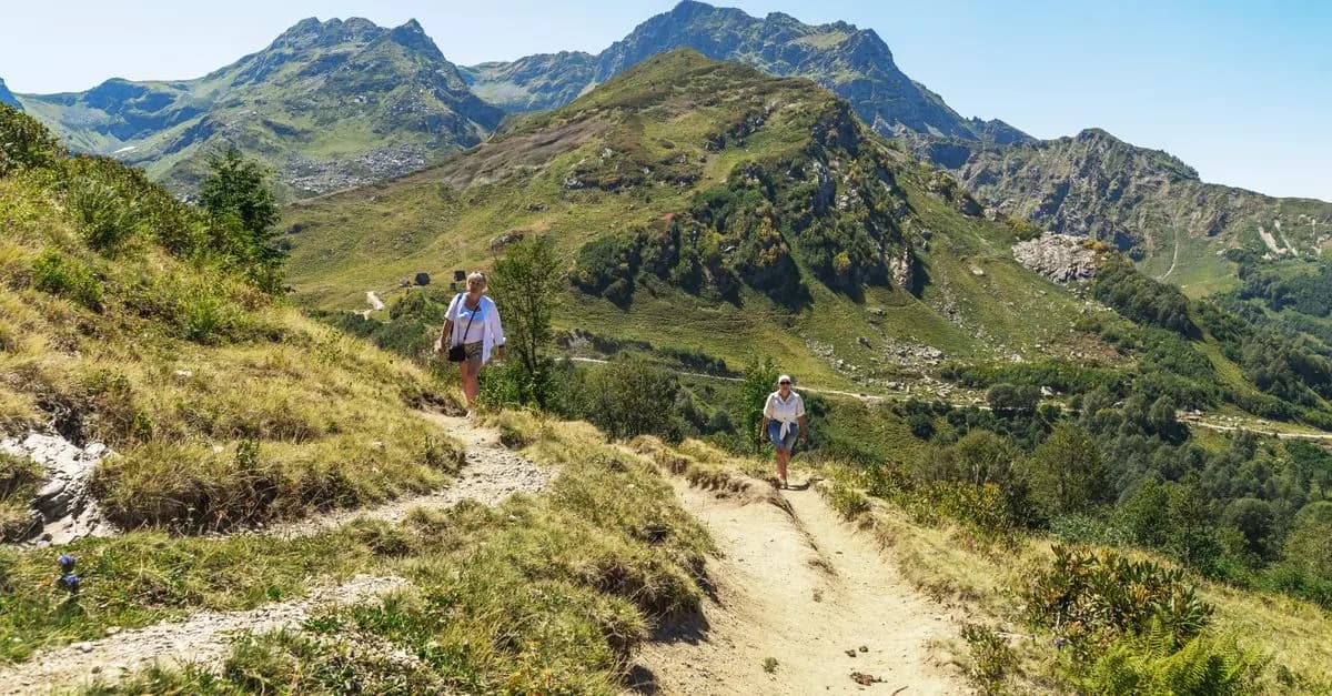 Guide Pratique pour Choisir Votre Hébergement Écologique