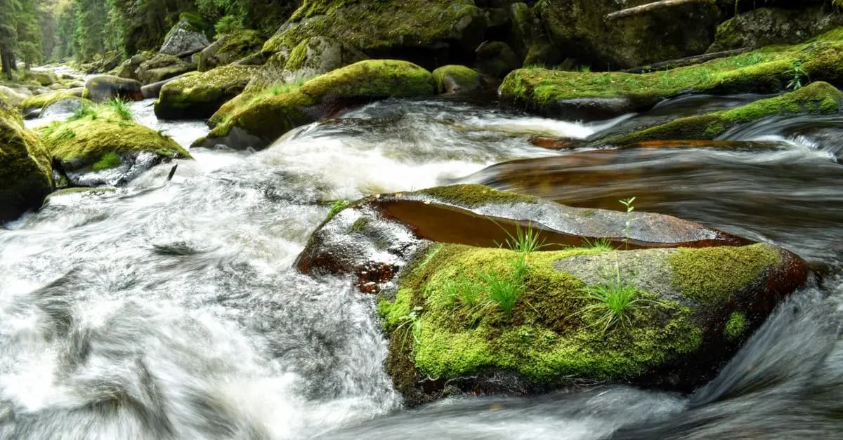Guide Complet pour un Voyage Écoresponsable