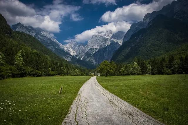 Les Meilleures Activités d'Écotourisme à Essayer