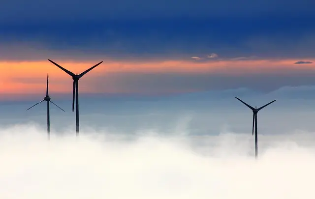 Les Meilleures Activités Écologiques à Pratiquer lors de Vos Voyages