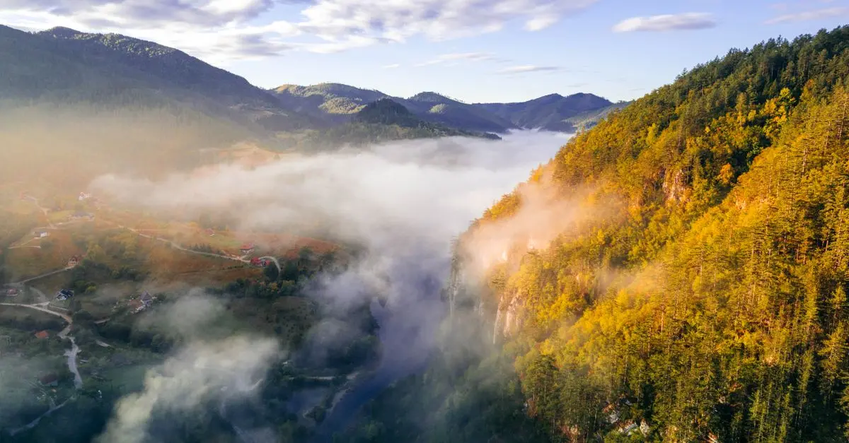 Impact des Vols Long-Courriers sur l'Environnement
