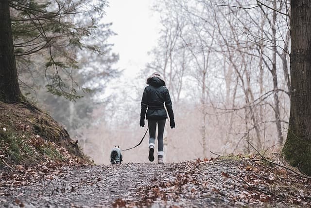 Comment Choisir des Activités de Plein Air Écoresponsables